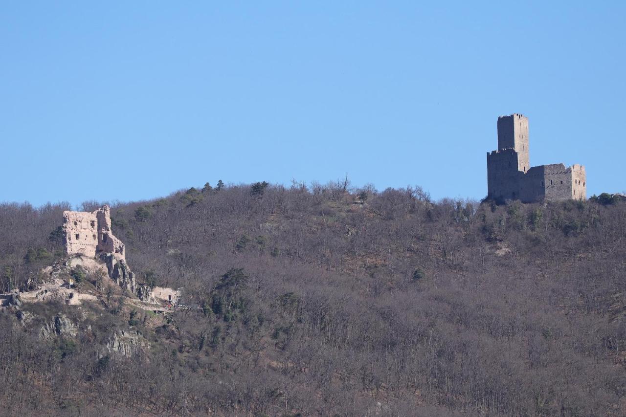 Aux Souvenirs D'Anaelle Gites 5 Personnes Sainte-Marie-aux-Mines Exterior foto