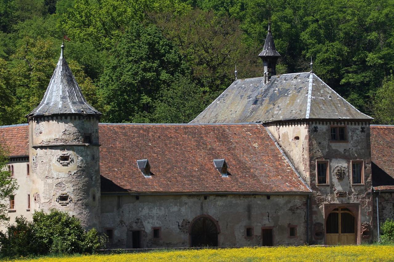 Aux Souvenirs D'Anaelle Gites 5 Personnes Sainte-Marie-aux-Mines Exterior foto